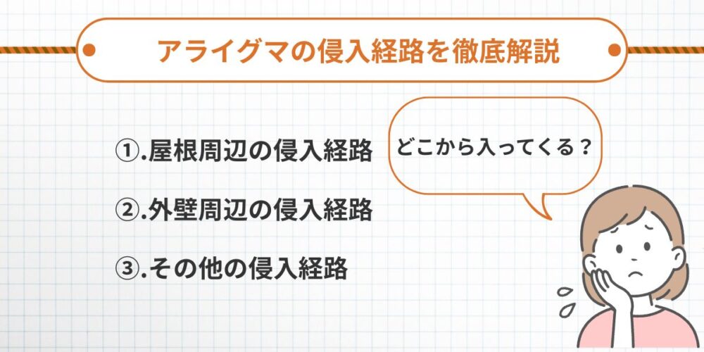 アライグマの侵入経路を徹底解説