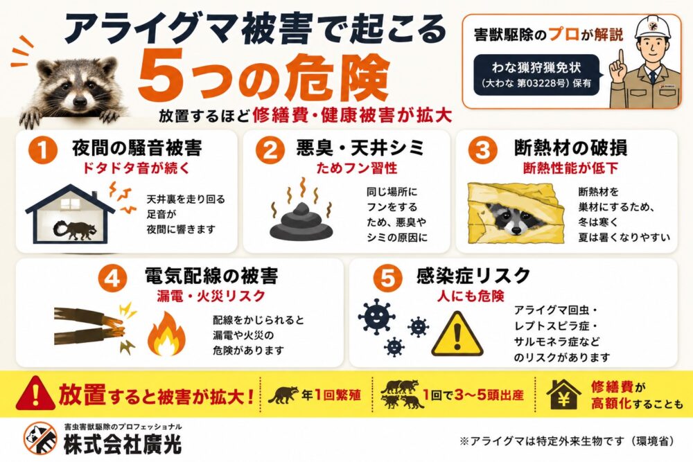 アライグマ被害の症状・対処法｜自力駆除が失敗する理由と根本解決策
