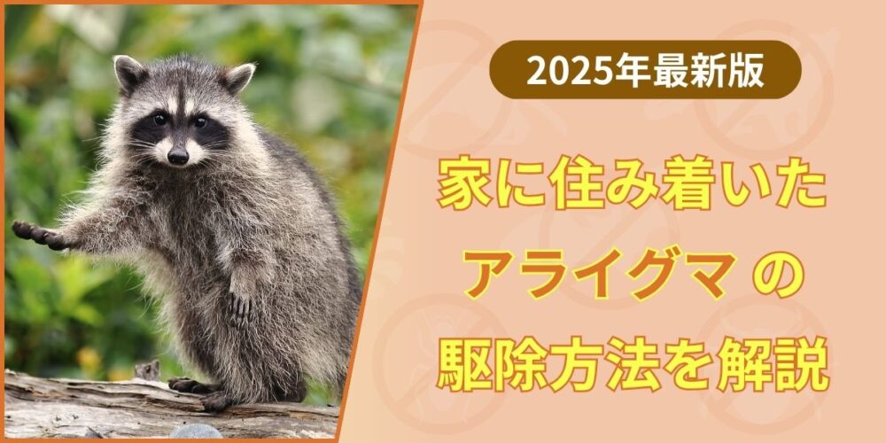 アライグマ駆除の完全ガイド｜自力対策から業者選びまで専門家が解説