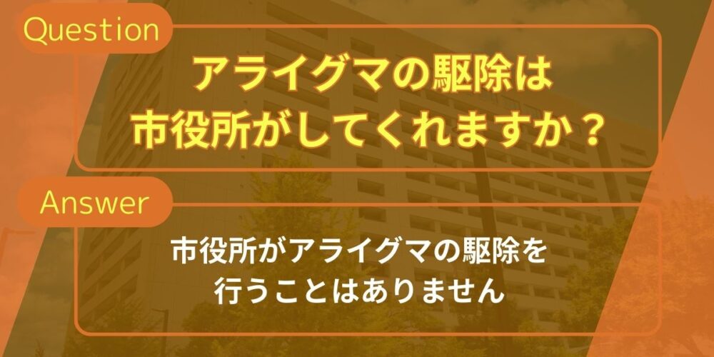 アライグマの駆除は市役所がしてくれますか?