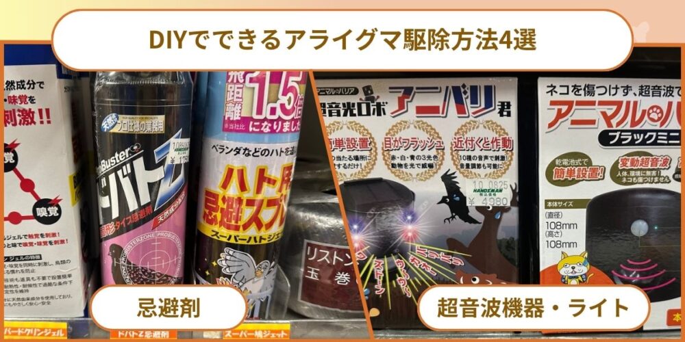 DIYでできるアライグマ駆除方法4選
