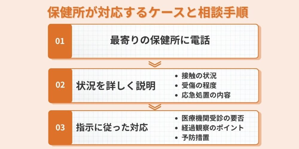 保健所所が対応するケースと相談手順