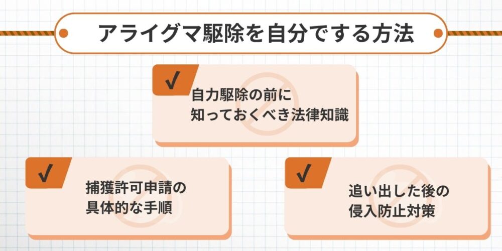 アライグマ駆除を自分でする方法