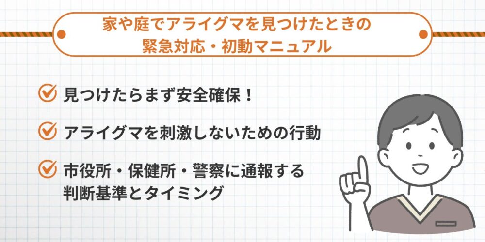 アライグマを見つけた時の緊急対応・初動マニュアル