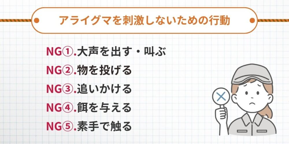 アライグマを刺激しないための行動