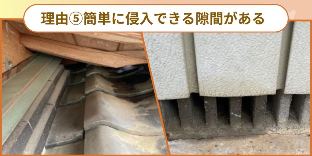 簡単に親友できる隙間がある