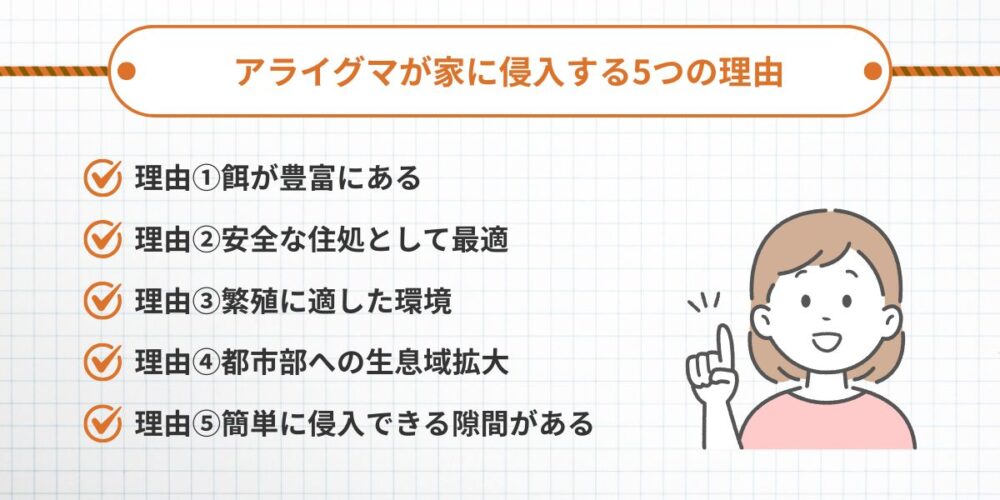 アライグマが家に侵入する5つの理由