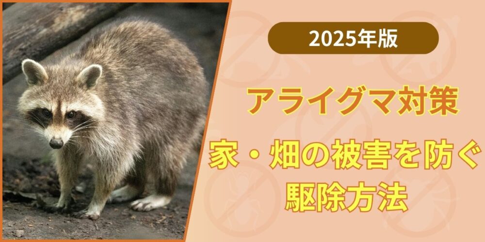 アライグマ対策｜家・畑の被害を防ぐ駆除方法【2025年版】