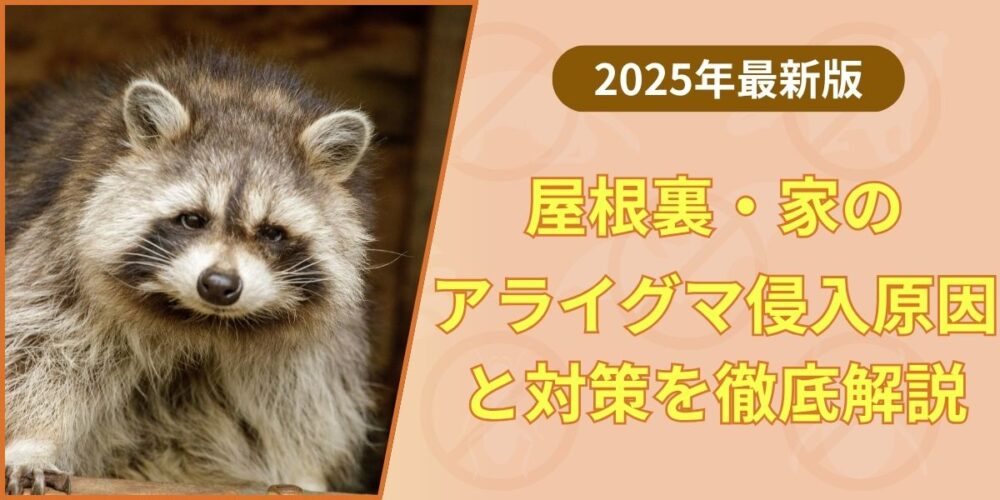 屋根裏のアライグマ対策｜侵入原因から駆除・再発防止まで