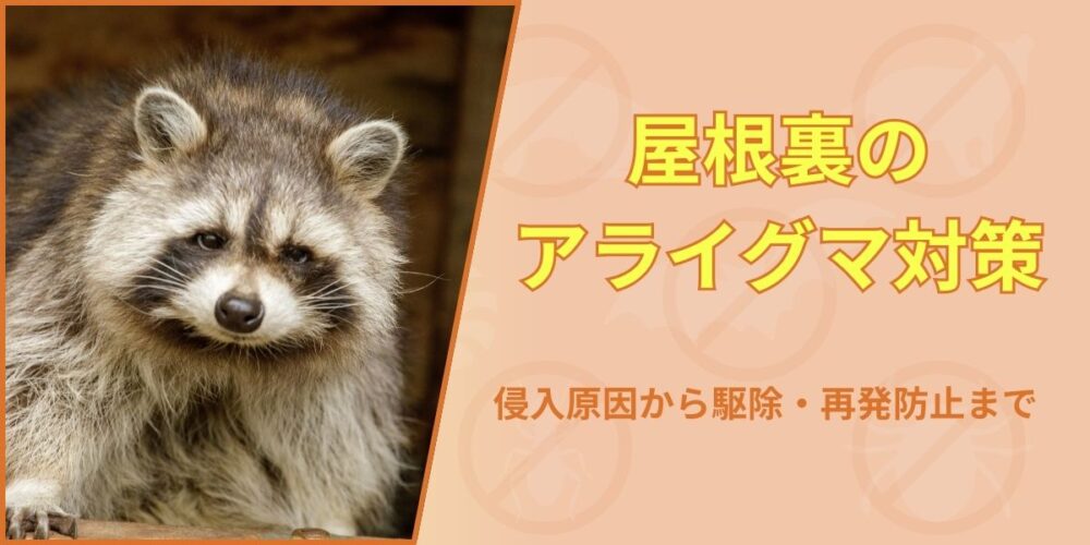 屋根裏のアライグマ対策｜侵入原因から駆除・再発防止まで