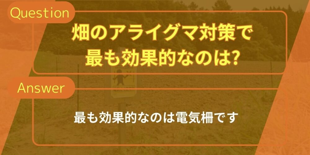 畑のアライグマ対策で元も効果的なのは