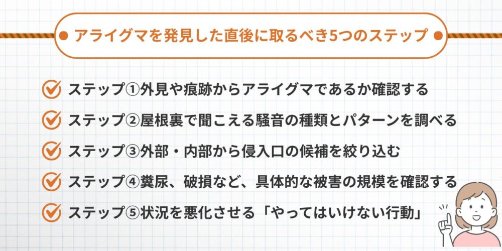 アライグマを発見した直後に取るべき5つのステップ