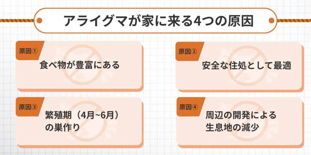 アライグマが家に来る4つの原因