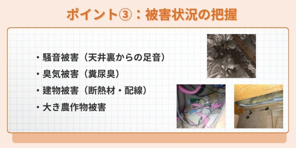 被害状況の確認