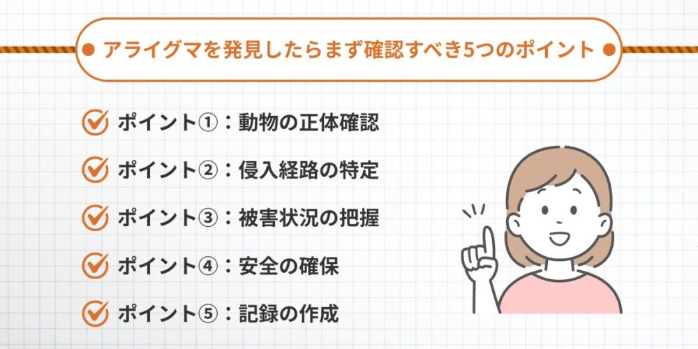 アライグマを発見したら確認