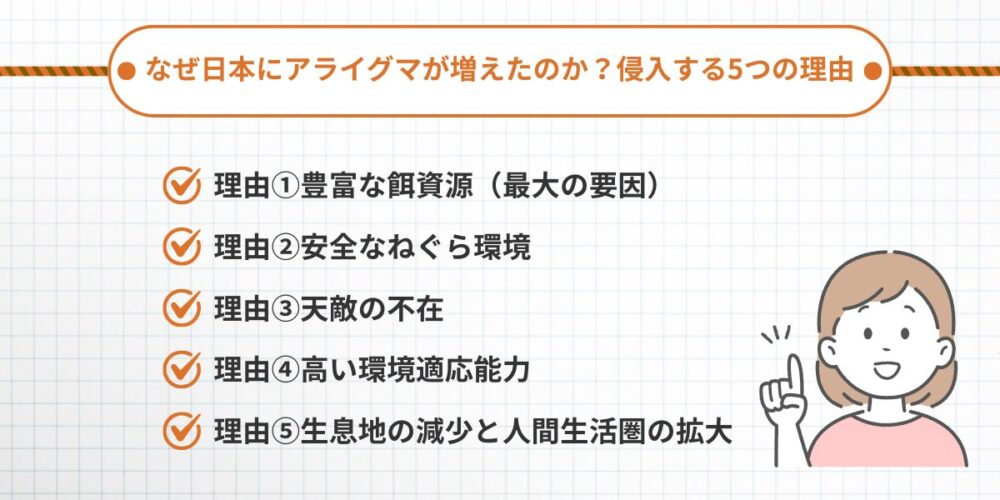 なぜアライグマが増えたのか侵入する5つの理由