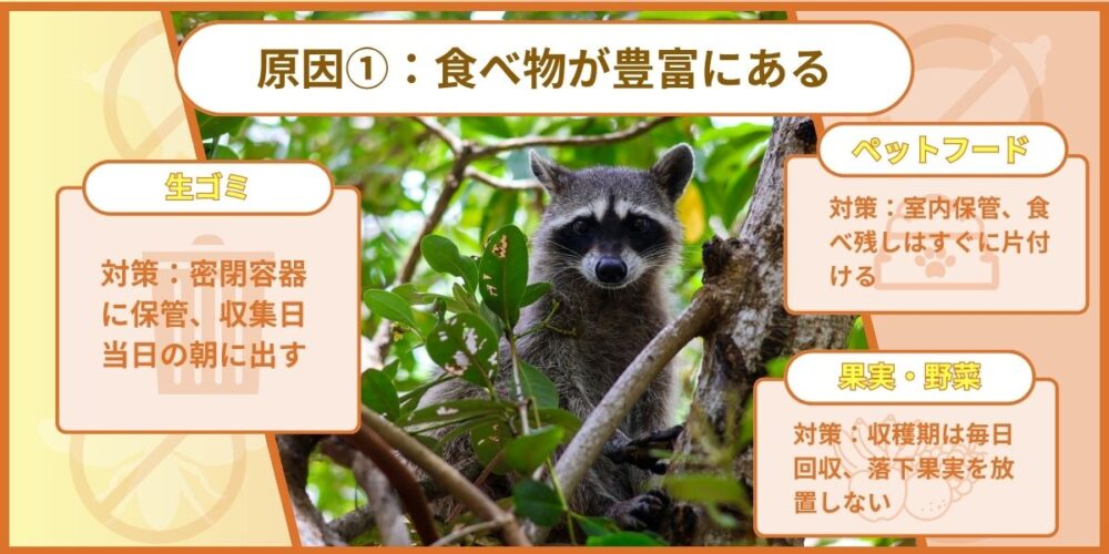 食べものが豊富にある