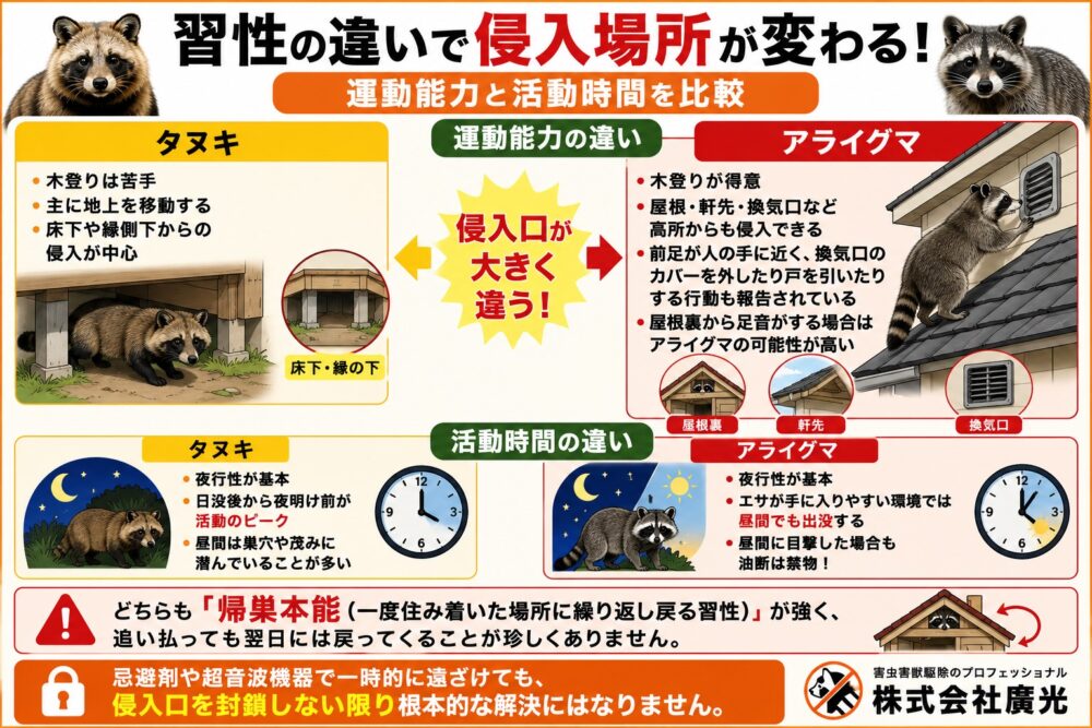 習性・生態の違い｜運動能力・活動時間を比較