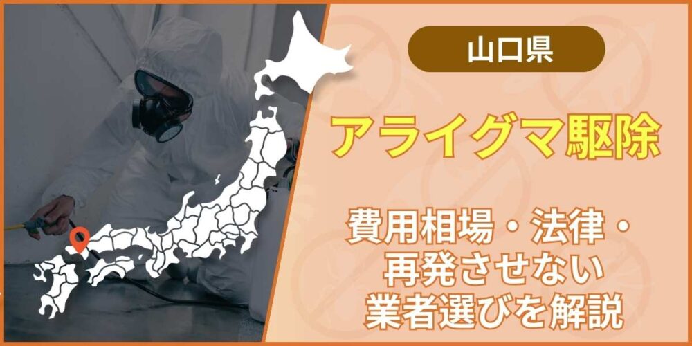 山口県のアライグマ駆除｜費用相場・法律・再発させない業者選びを解説