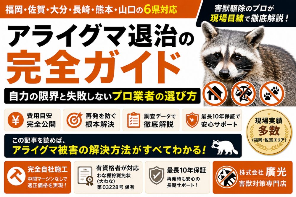 修正有ssskkアライグマ退治の完全ガイド｜自力の限界と失敗しないプロ業者の選び方