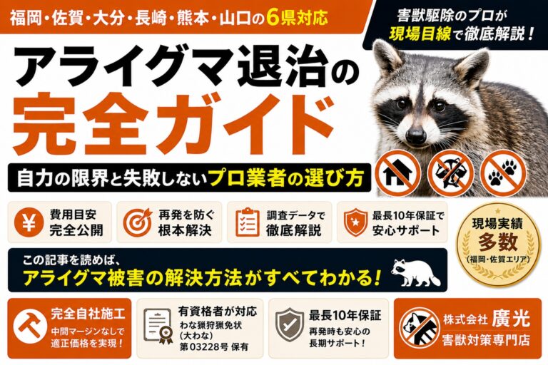 アライグマ退治の完全ガイド｜自力の限界と失敗しないプロ業者の選び方