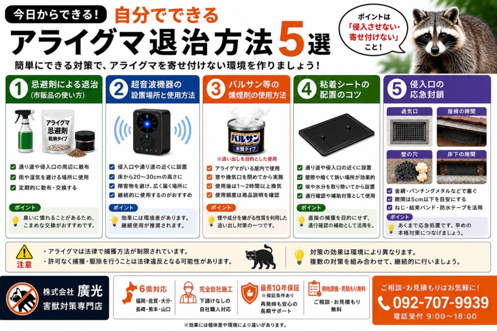 自分でできるアライグマ退治方法5選