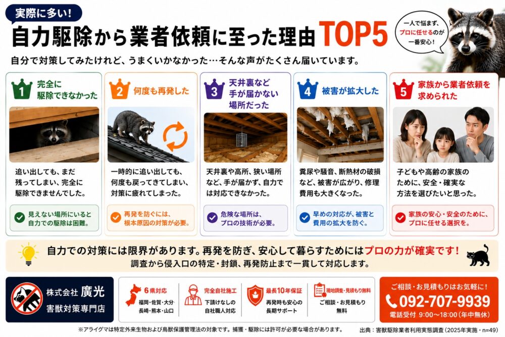 自力駆除から業者依頼に至った理由TOP5