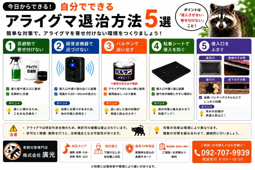 自分でできるアライグマ退治方法5選