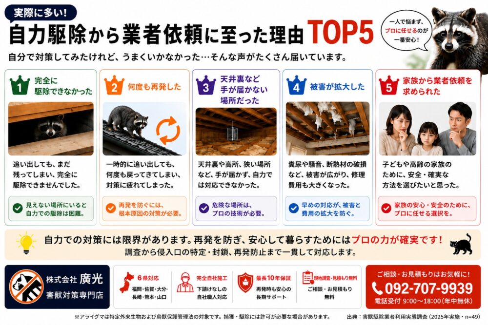 自力駆除から業者依頼に至った理由TOP5