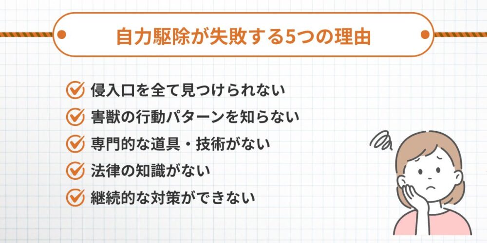 自力駆除が失敗する5つの理由