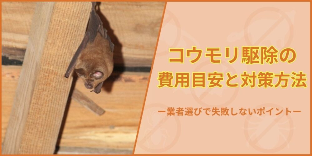 修正有ssskkコウモリ駆除の費用目安と対策方法｜業者選びで失敗しない5つのポイント