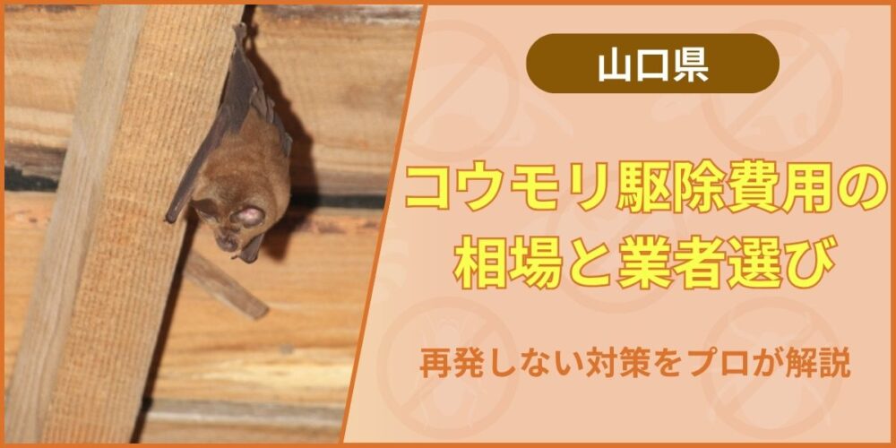 山口のコウモリ駆除費用の相場と業者選び｜再発しない対策をプロが解説