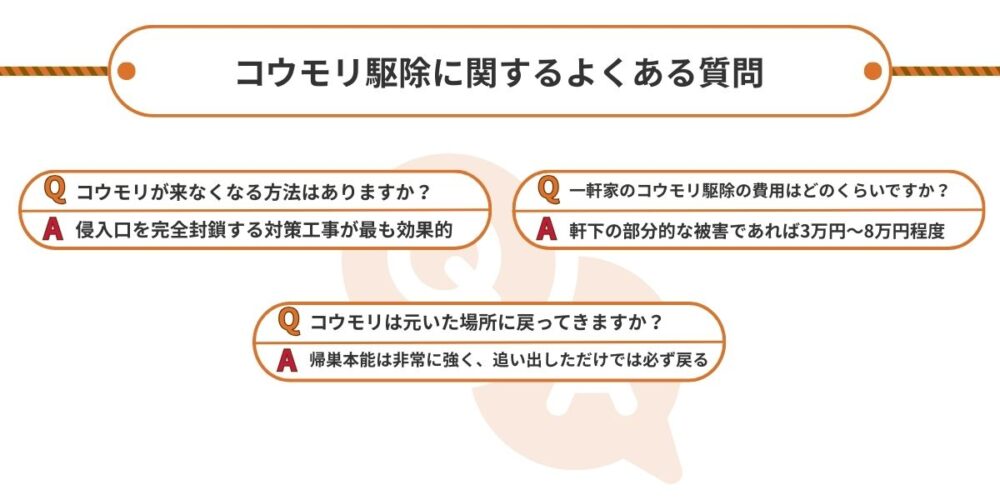 コウモリよくある質問
