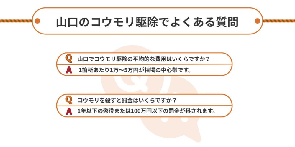 コウモリ駆除でよくある質問 山口
