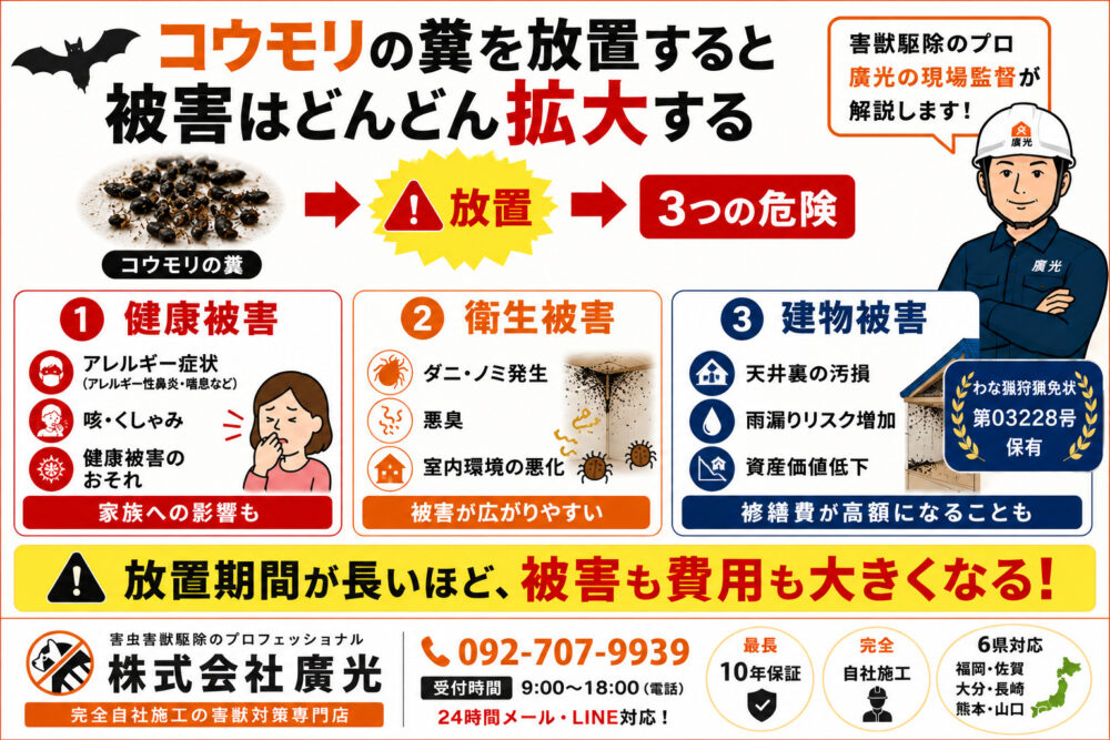 コウモリの糞を放置する3つの危険性