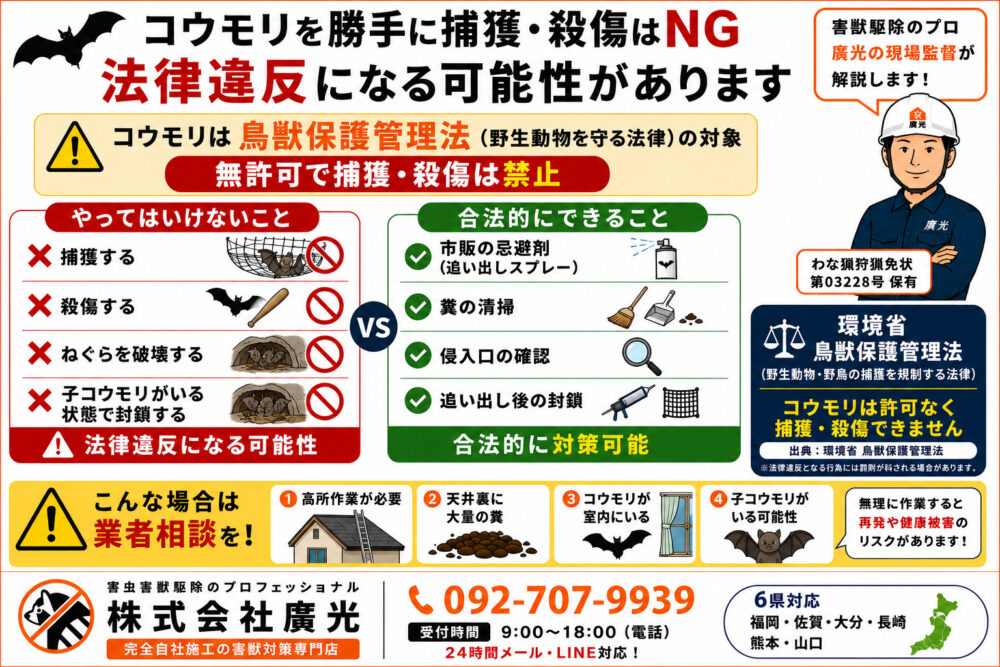 自分で駆除・掃除をしてはいけないケースと法律