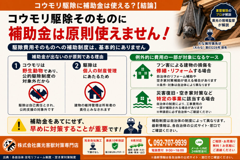 コウモリ駆除に補助金は使える?【結論】