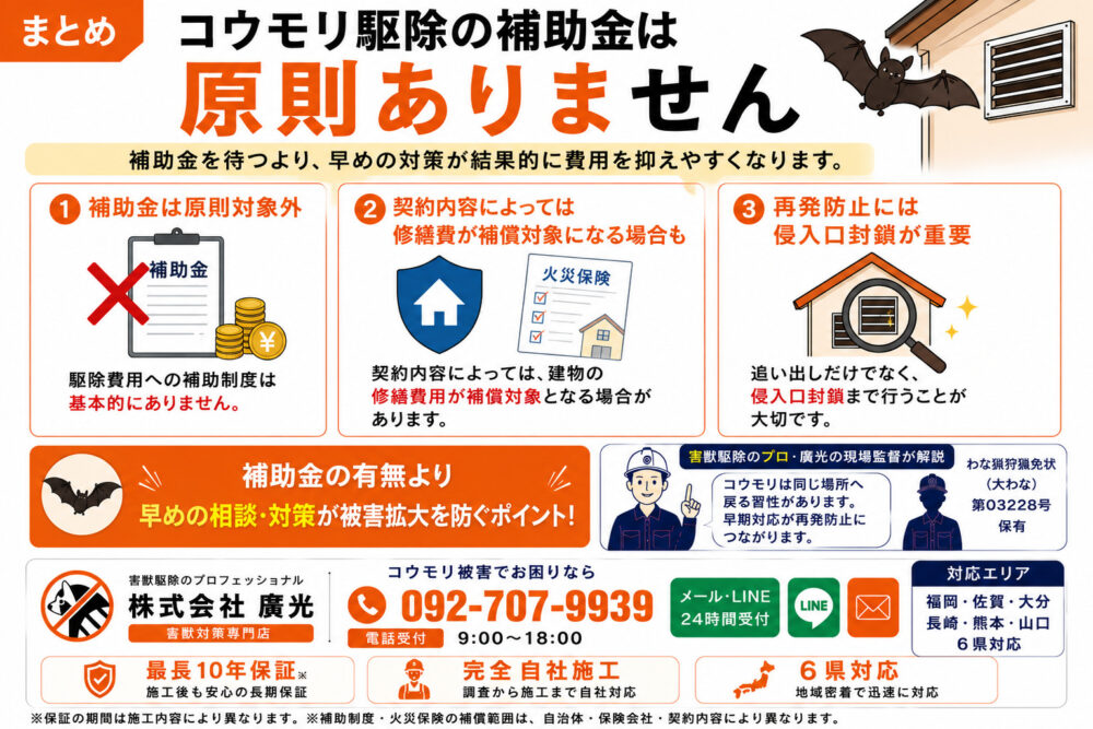 まとめ|コウモリ駆除の補助金は原則なし