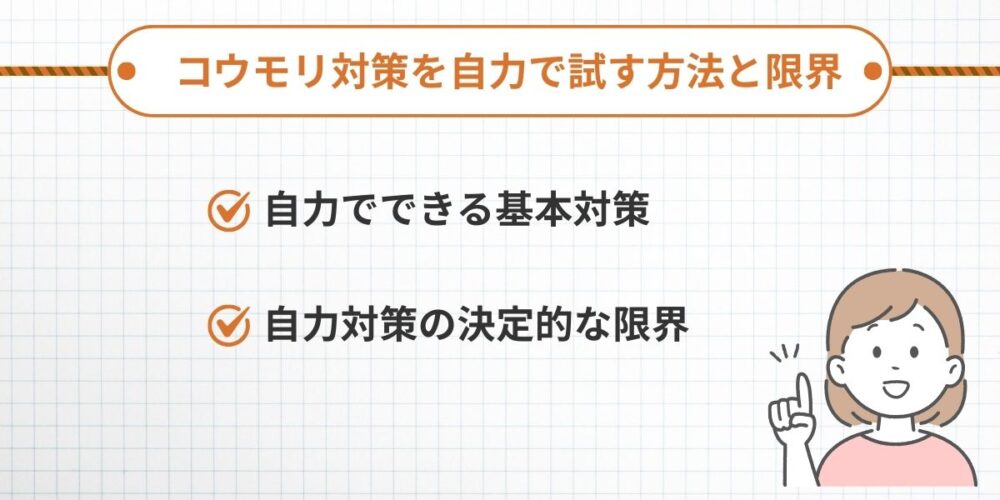 コウモリ対策を自力で試す方法と限界