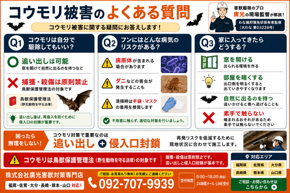 コウモリ被害に関するよくある質問