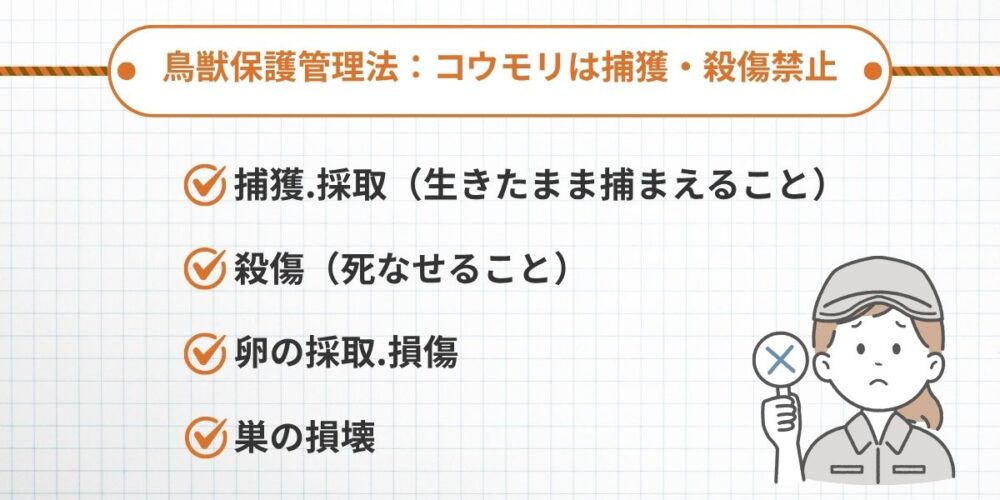 コウモリ 鳥獣保護法