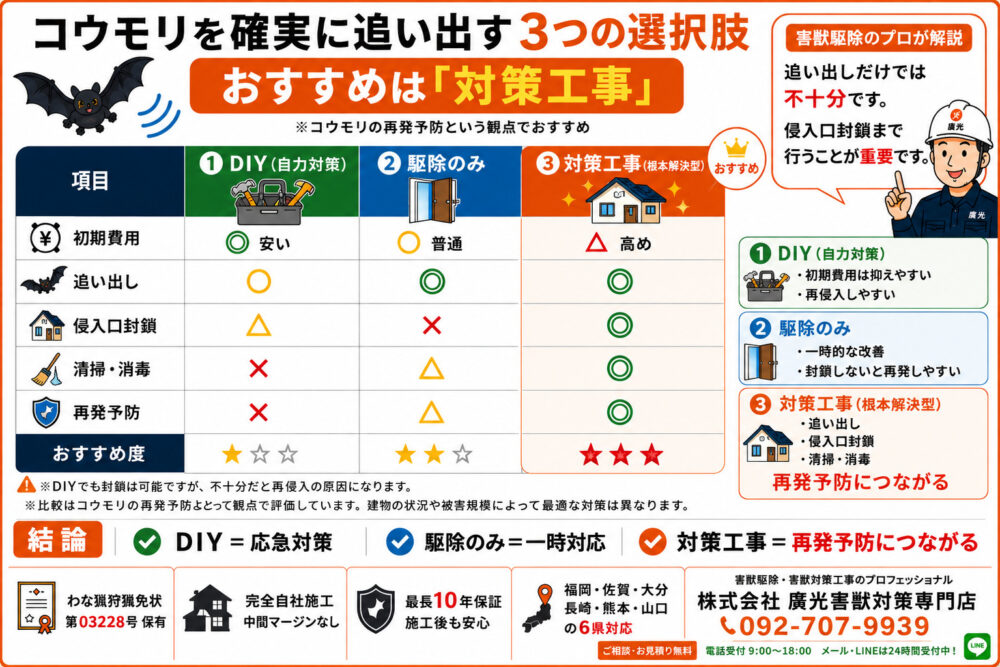 コウモリを確実に追い出す3つの選択肢