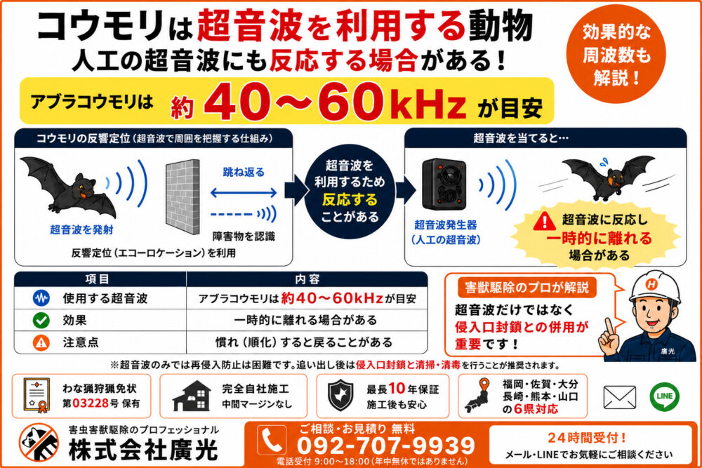 コウモリに超音波は効く？効果的な周波数も解説