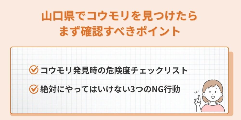 山口県でコウモリを見つけたら確認すべきポイント