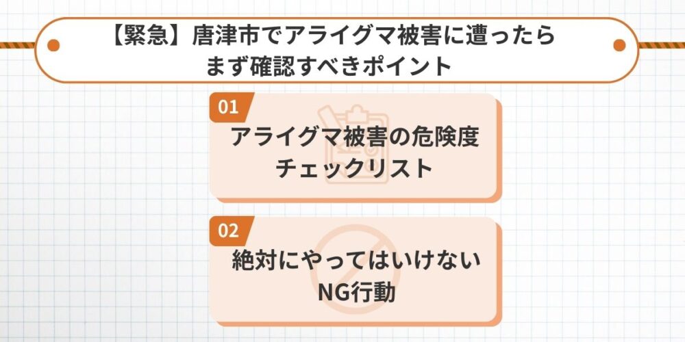 唐津市でアライグマ被害に遭ったら｜まず確認すべきポイント