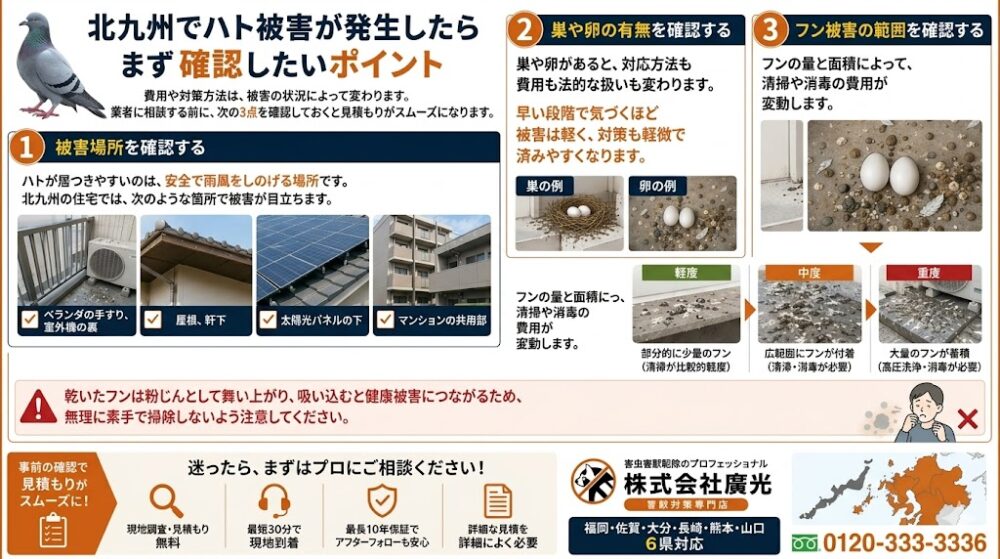 北九州でハト被害が発生したらまず確認したいポイント