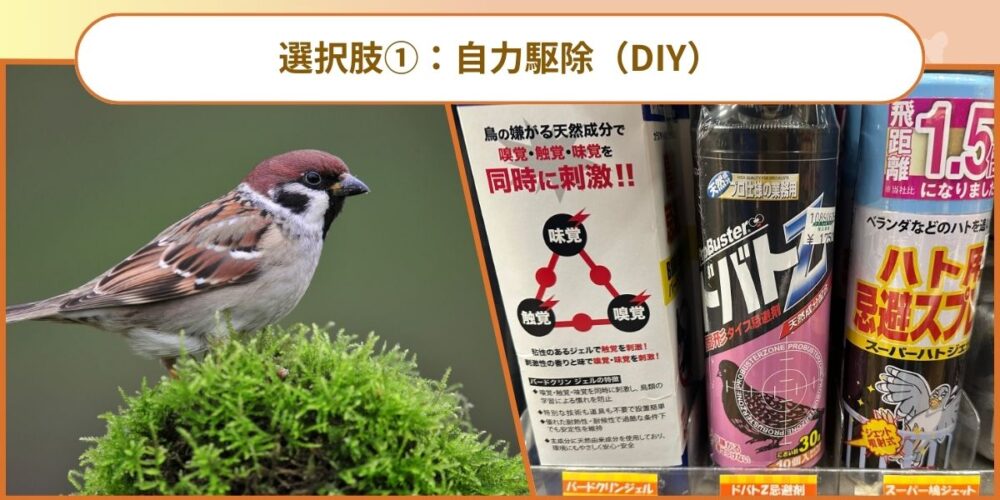 自力駆除（DIY）