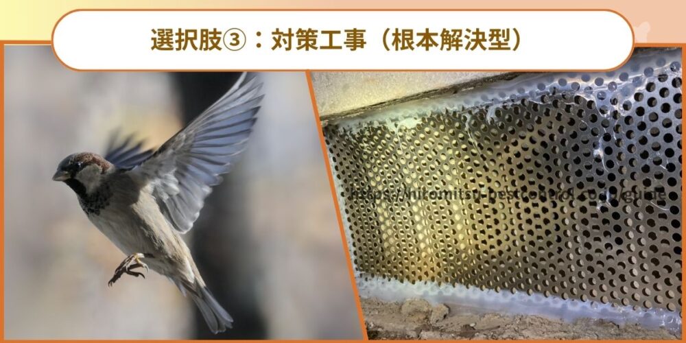 対策工事（根本解決型）