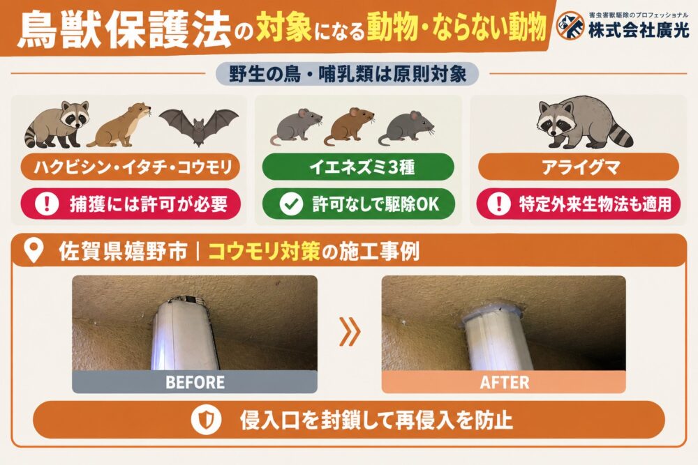 鳥獣保護法で違反になる・ならない動物