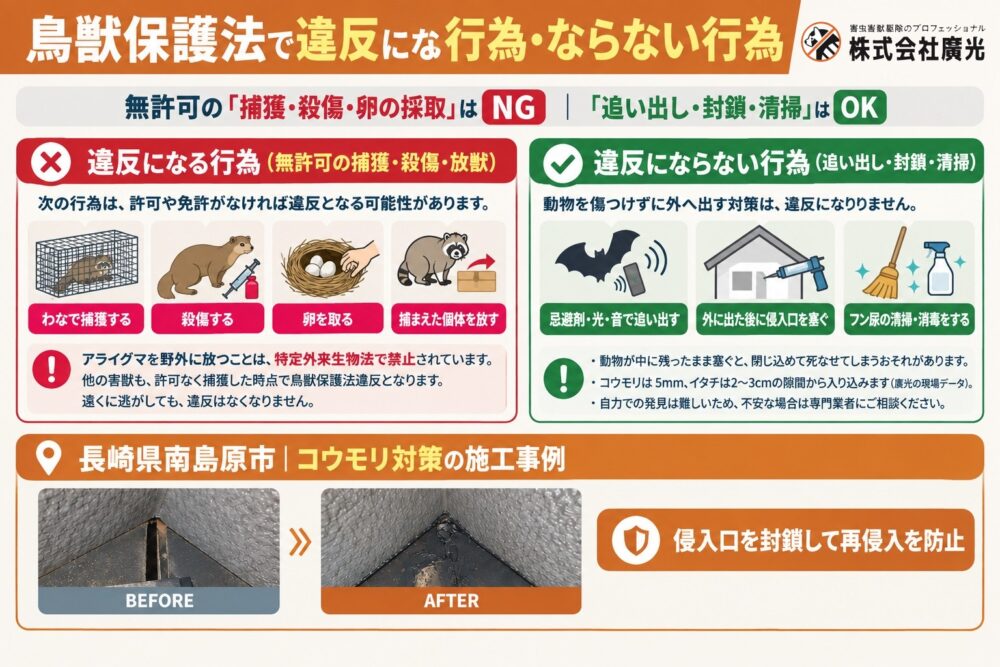 鳥獣保護法で違反になる行為・ならない行為
